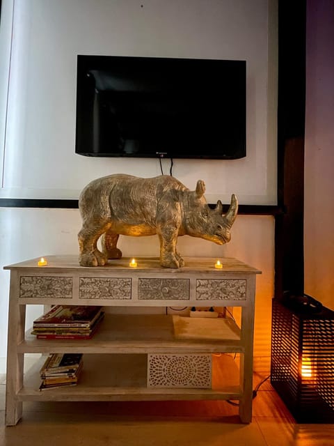 Le cocon Bourbonnoux Apartment in Bourges