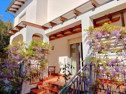 Property building, Garden, Garden view