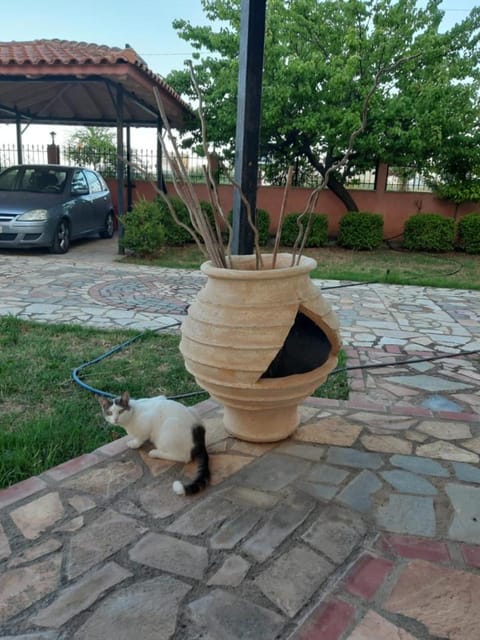 Property building, Pets