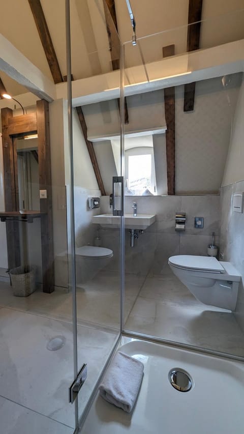 Shower, Toilet, Bathroom, View (from property/room), towels