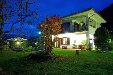 Property building, Night, Garden