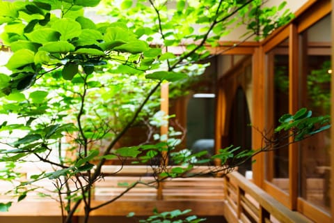 Garden view, Garden view