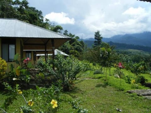 Patio, Day, Summer, View (from property/room), Other, Decorative detail, Garden view, Mountain view, Area and facilities