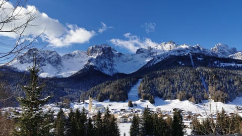 Appartamento 3cime Stefania Apartment in Friuli-Venezia Giulia