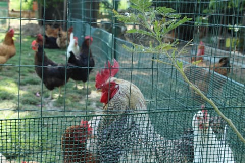 Veramaro,accogliente appartamento in campagna Apartment in Arezzo