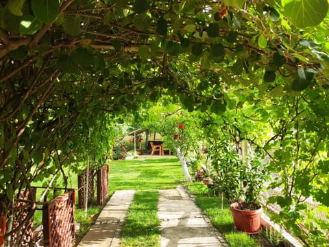 Konak Mali Raj Bed and Breakfast in Serbia