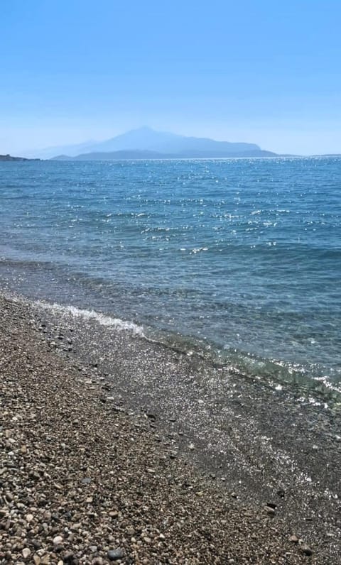 HOTEL KATERINA Hotel in Samos, Greece