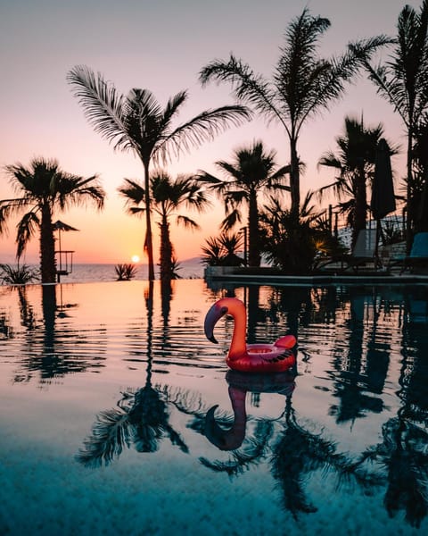 El Primero Hotel Hotel in Sarandë