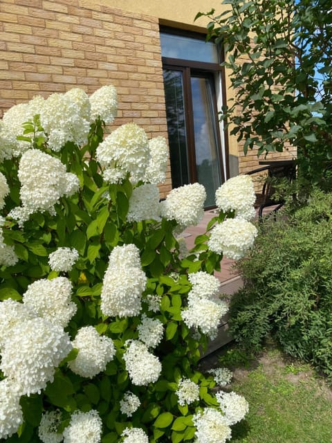 ATOSTOGAUTI GERA Apartment in Palanga