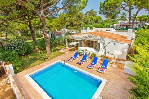 Garden, Garden view, Pool view, Swimming pool, sunbed