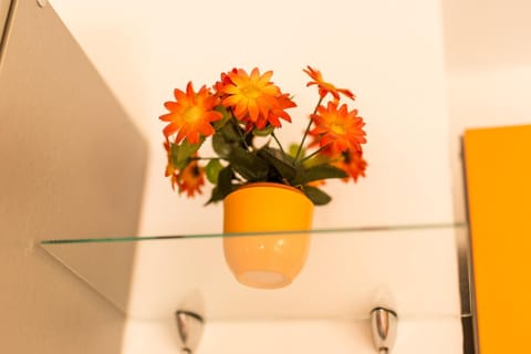 Apartman Magi Apartment in Zadar