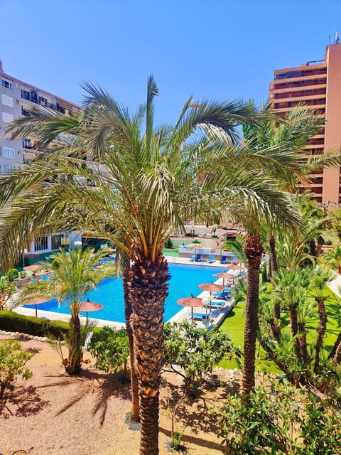 Garden, Garden view, Pool view, Swimming pool