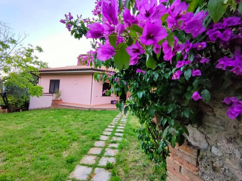 Property building, Garden