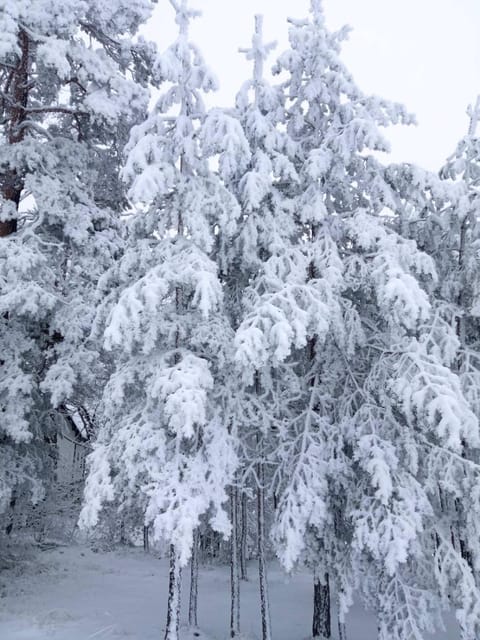 vila Borova glava Villa in Zlatibor District, Serbia
