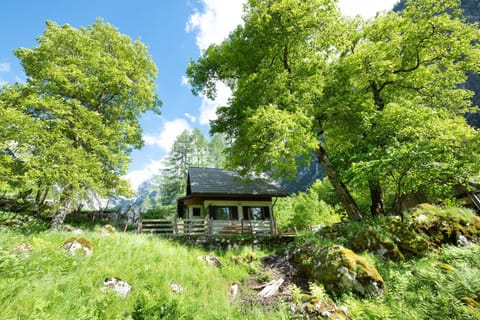 Property building, Day