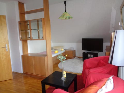 Ferienwohnung Carmen Apartment in Siegen