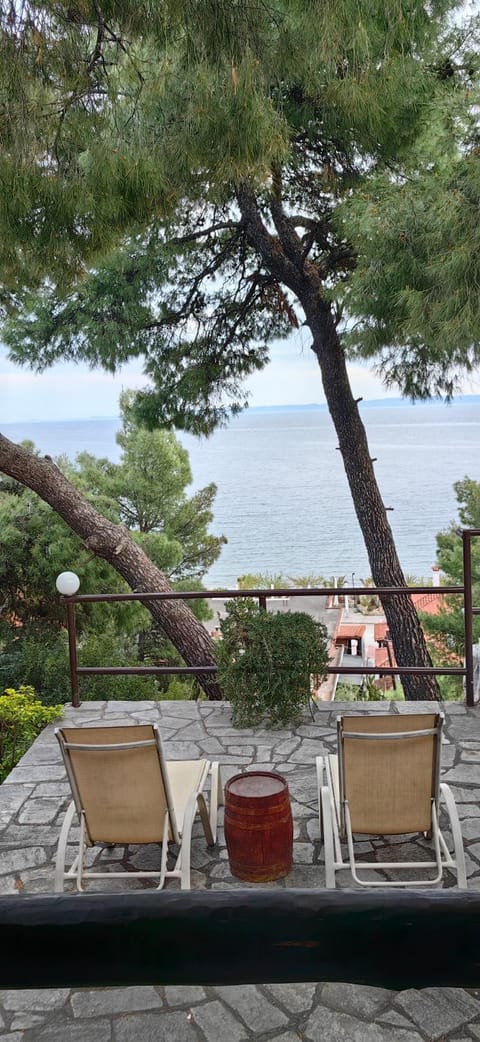 Grandmas Paradise Villa House in Halkidiki