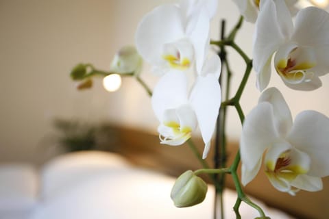 Decorative detail, Decorative detail