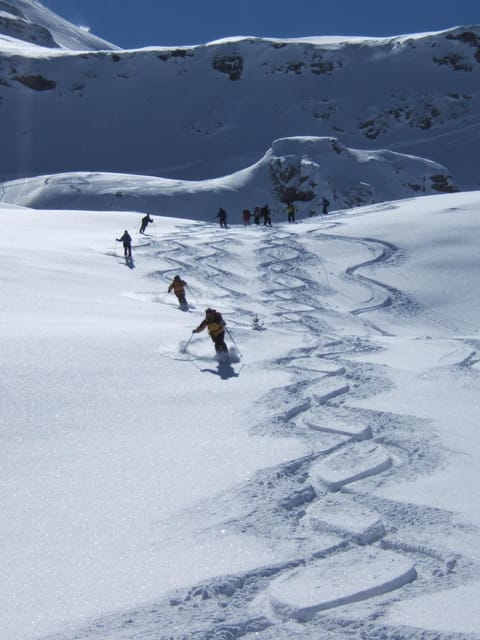 Day, Winter, Skiing, Skiing, Sports, group of guests