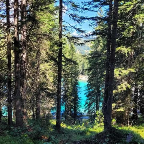 Maso Pin Bed and Breakfast in Province of Brescia