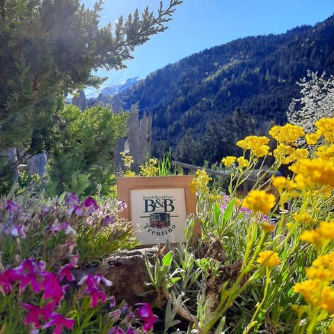 Maso Pin Bed and Breakfast in Province of Brescia