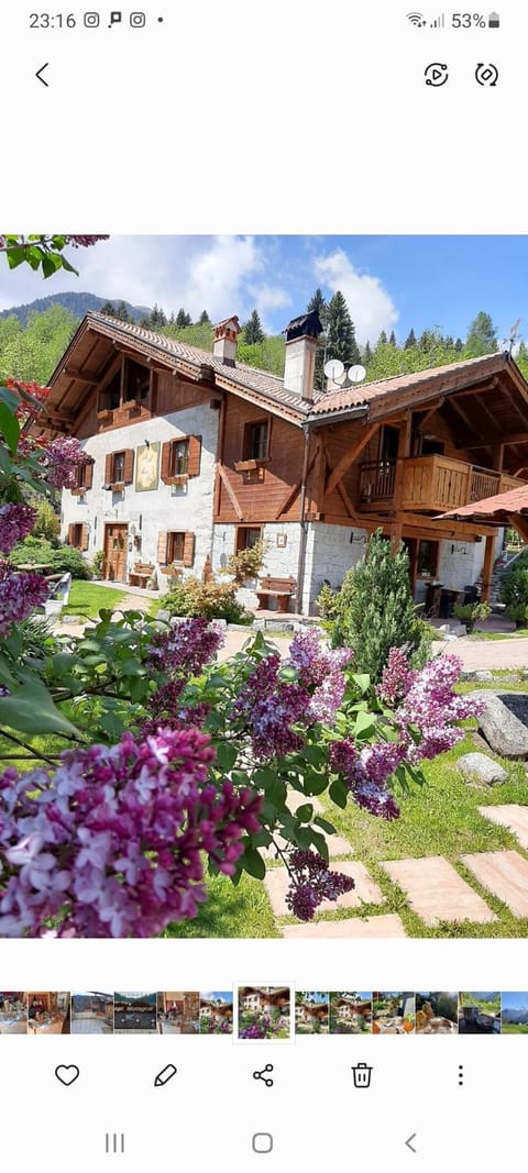 Maso Pin Bed and Breakfast in Province of Brescia