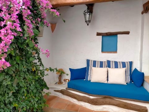 Property building, Patio, Garden