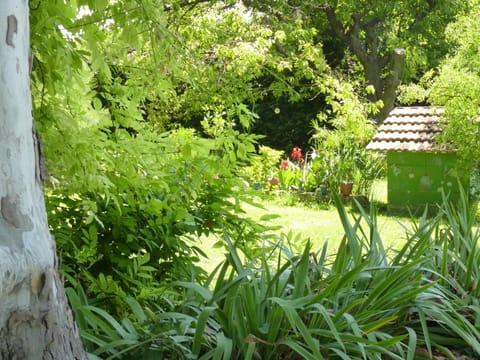 Natural landscape, Garden