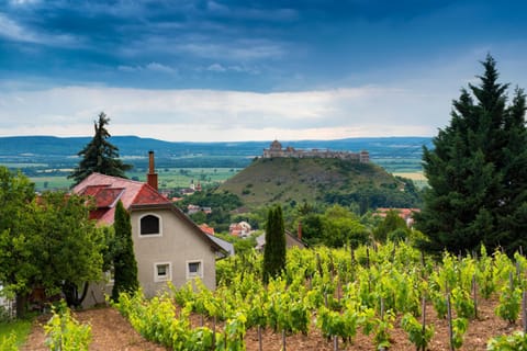 Neighbourhood, Landmark view