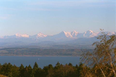 Lake view, Mountain view