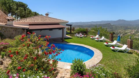 Patio, Garden, Garden view