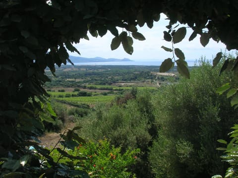 Natural landscape, Sea view