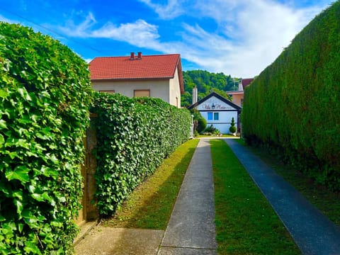 Property building, Spring, Day, Garden, Street view