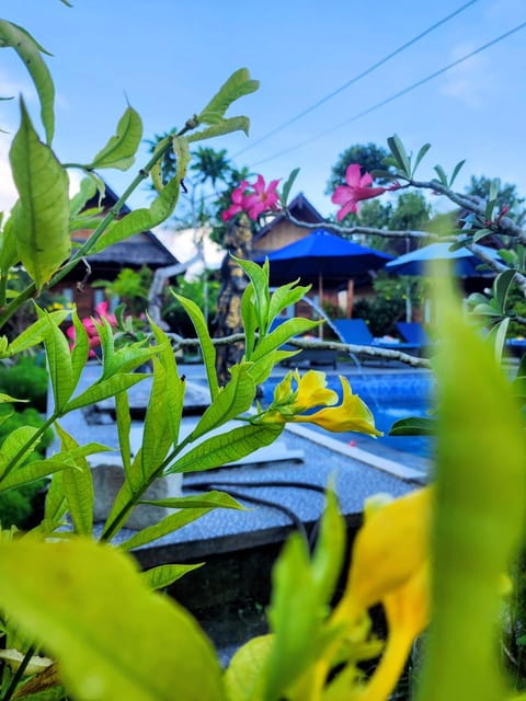 Garden, Garden view