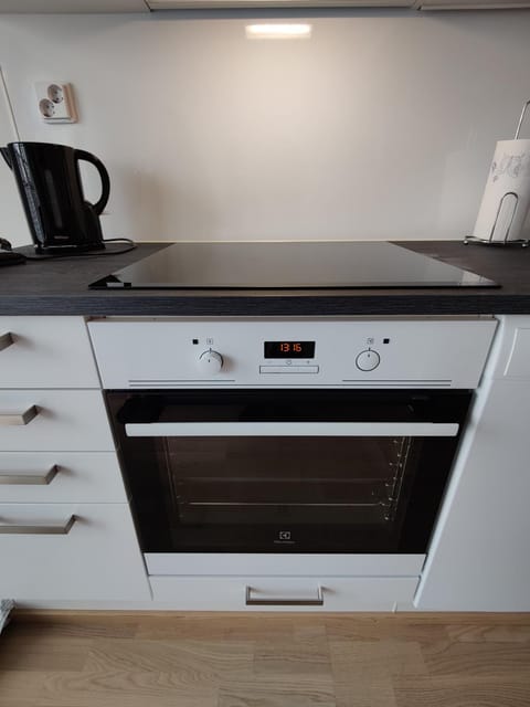 Vaunukatu Apartment in Turku