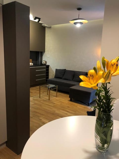 Linden Flower Apartment in Vojvodina