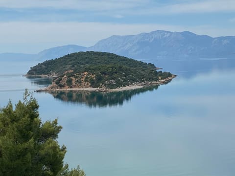 Natural landscape