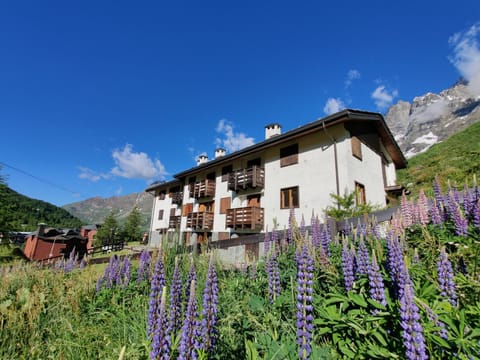 Property building, Garden, Mountain view