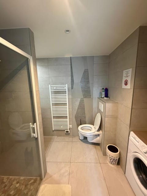 Shower, Toilet, Bathroom, washing machine