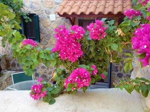 Facade/entrance, Garden view