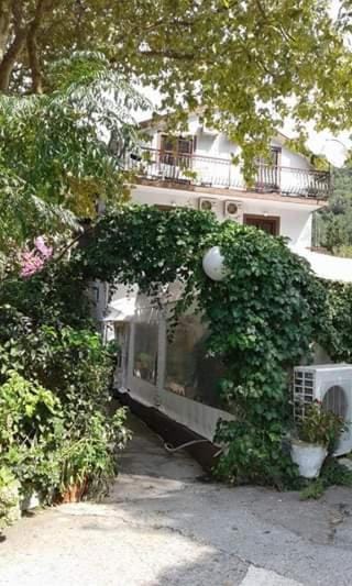 Pansion Mimoza Bed and Breakfast in Kotor Municipality