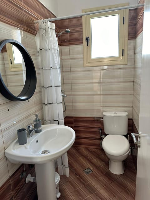 Shower, Toilet, Bathroom, bidet