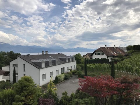 Property building, Nearby landmark, Facade/entrance, Balcony/Terrace, Lake view