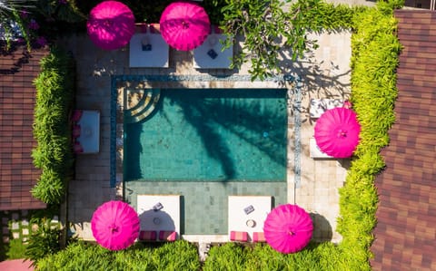 Swimming pool, Swimming pool