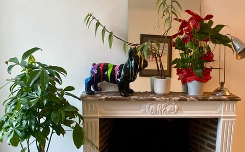 Studio Plein Centre Apartment in Île-de-France