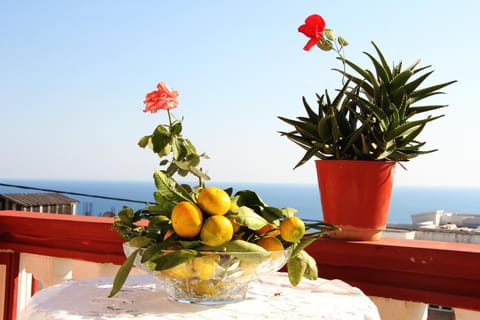 Sea view
