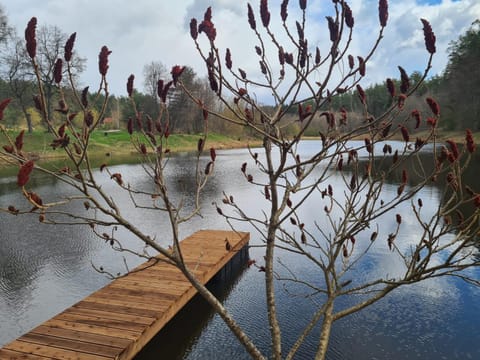 Natural landscape, Lake view