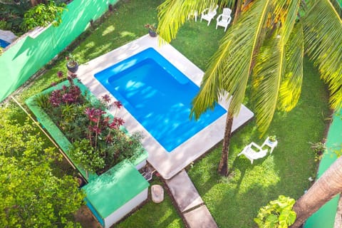 Garden, Swimming pool