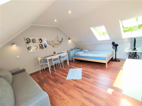 Photo of the whole room