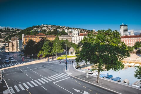 Mountain view, River view, Sea view, Street view